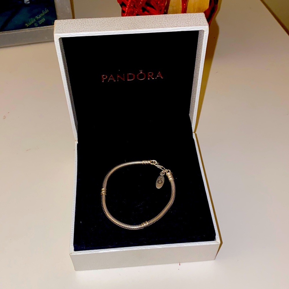 kids sized pandora bracelet.